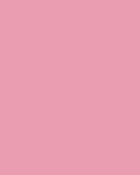DTDL 8534 BS BU Rose Pink 2800/2070/18